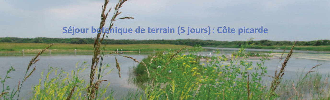 sortie-picardie0