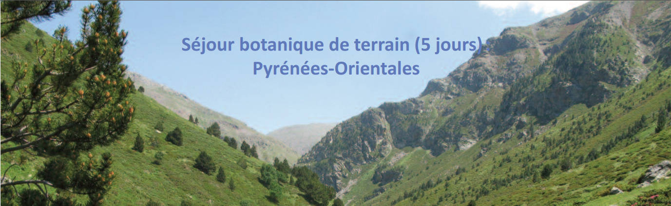sortie-pyreness0