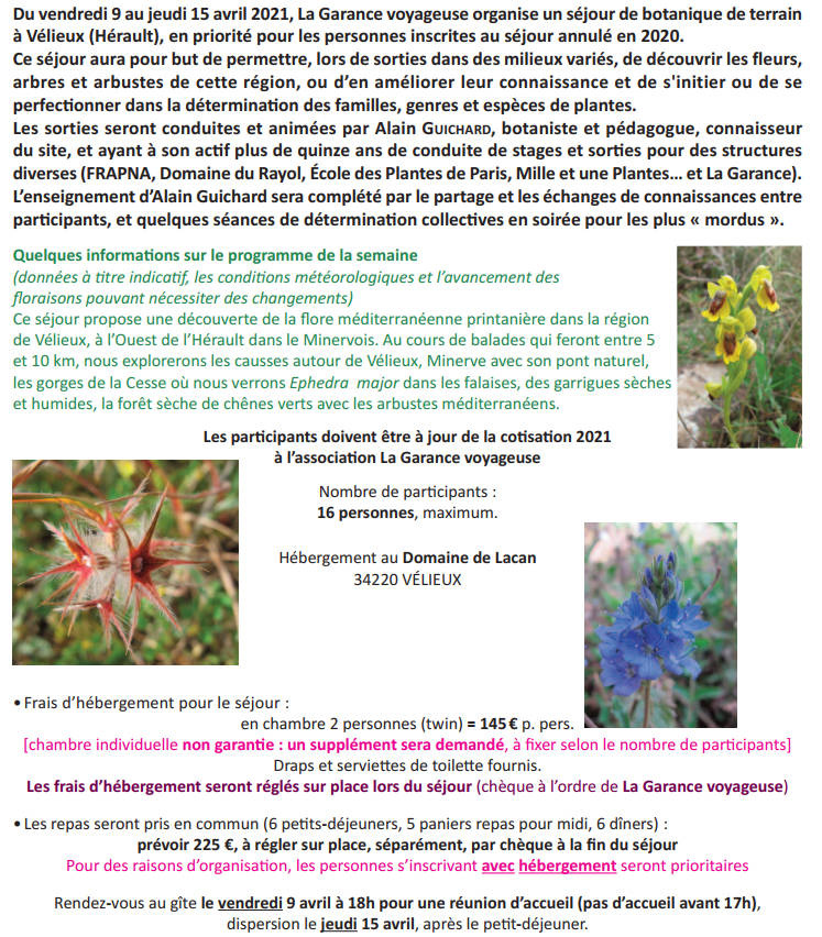 herault
